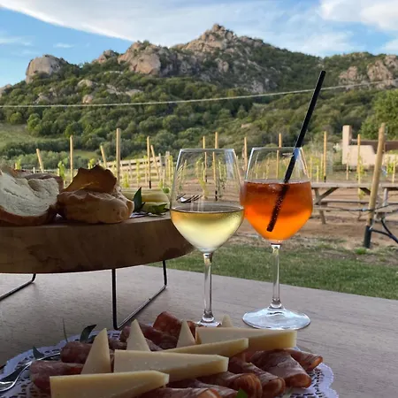 Frühstückspension Monti Di Jogliu Deluxe Arzachena