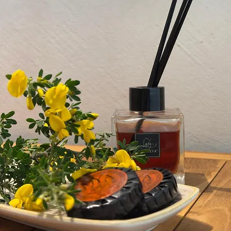 Monti Di Jogliu Deluxe 住宿加早餐酒店 阿尔扎凯纳