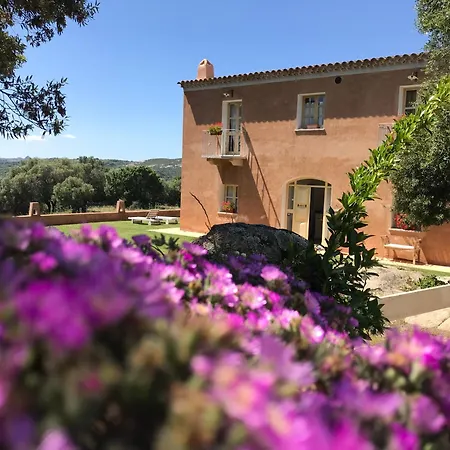 Monti Di Jogliu Deluxe Arzachena